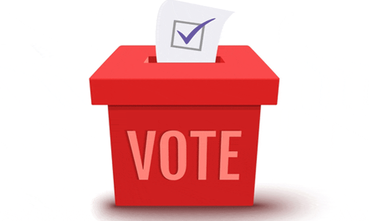 Why India must audit voter lists before illegal Rohingya, Bangladeshi immigrants skew democracy