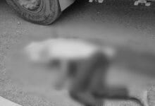 Telangana: Man Dies in Road Accident, Locals Blame Contractor Negligence