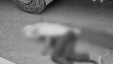 Telangana: Man Dies in Road Accident, Locals Blame Contractor Negligence