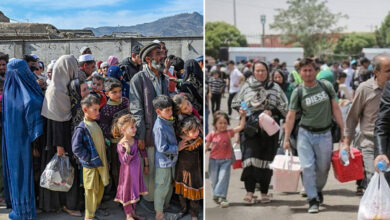 Why Are Afghan Refugee Families Returning Home in Large Numbers from Iran?