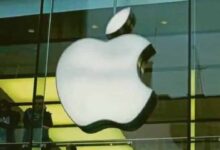Apple Breaks Silence on BOE Ban: No Impact on iPhones, Says Company