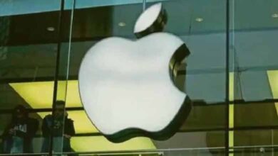 Apple Breaks Silence on BOE Ban: No Impact on iPhones, Says Company
