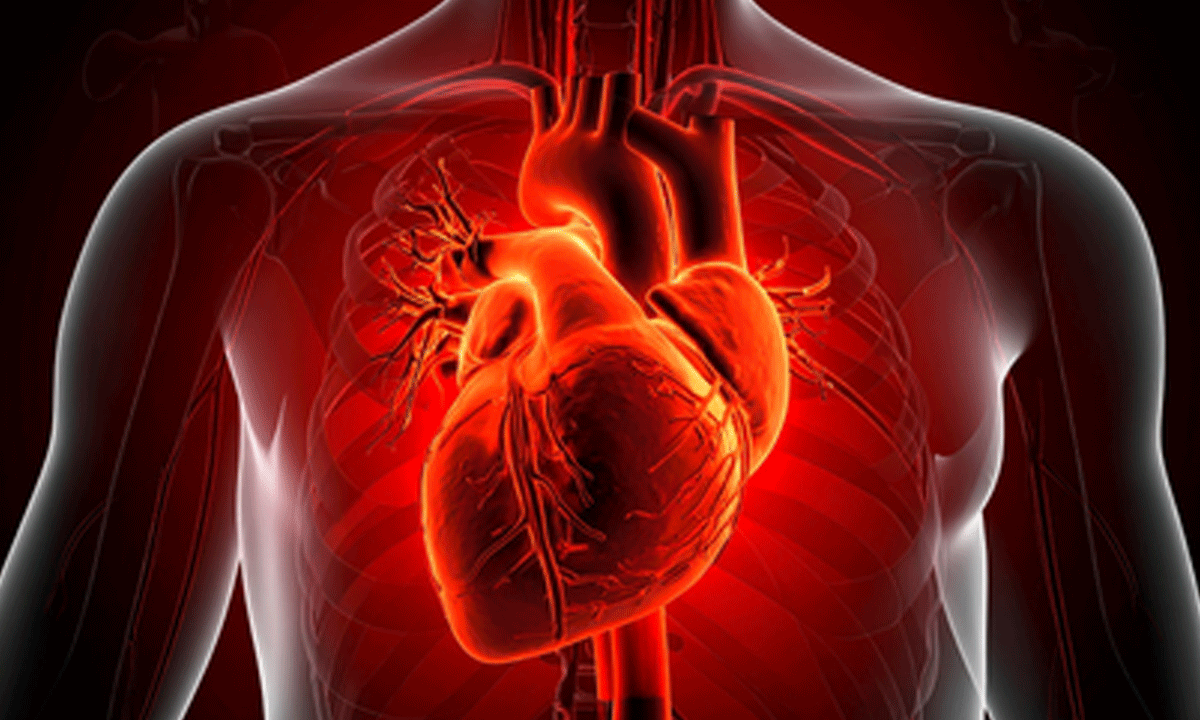 New AI Tool Surpasses Cardiologists in Detecting Hidden Heart Disease