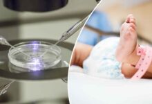 UK Scientists Successfully Use DNA from Three People to Prevent Genetic Disorders in Babies