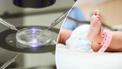 UK Scientists Successfully Use DNA from Three People to Prevent Genetic Disorders in Babies