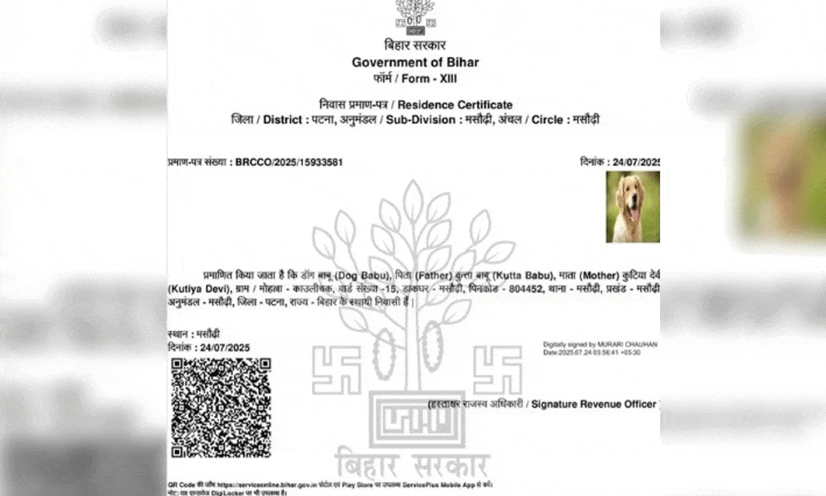 Residence certificate issued to dog in Patna, FIRs ordered against erring officials