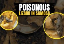 The contaminated samosa containing a lizard, which caused critical illness in a Telangana girl. Text overlay reads "POISONOUS LIZARD IN SAMOSA".