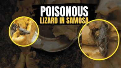 The contaminated samosa containing a lizard, which caused critical illness in a Telangana girl. Text overlay reads "POISONOUS LIZARD IN SAMOSA".