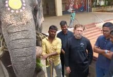 Hyderabad: Elephant for Yaum-e-Aashura Procession Leaves from Karnataka, Public Relieved