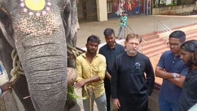 Hyderabad: Elephant for Yaum-e-Aashura Procession Leaves from Karnataka, Public Relieved