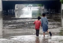 Monsoon rains claim eight more lives in Pakistan, death toll hits 266