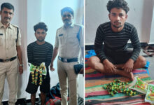 Ganja Chocolates Seized by Task Force, One Man Arrested