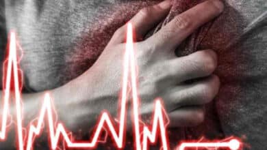 RTC Bus Driver Suffers Heart Attack While Driving, Dies on the Spot