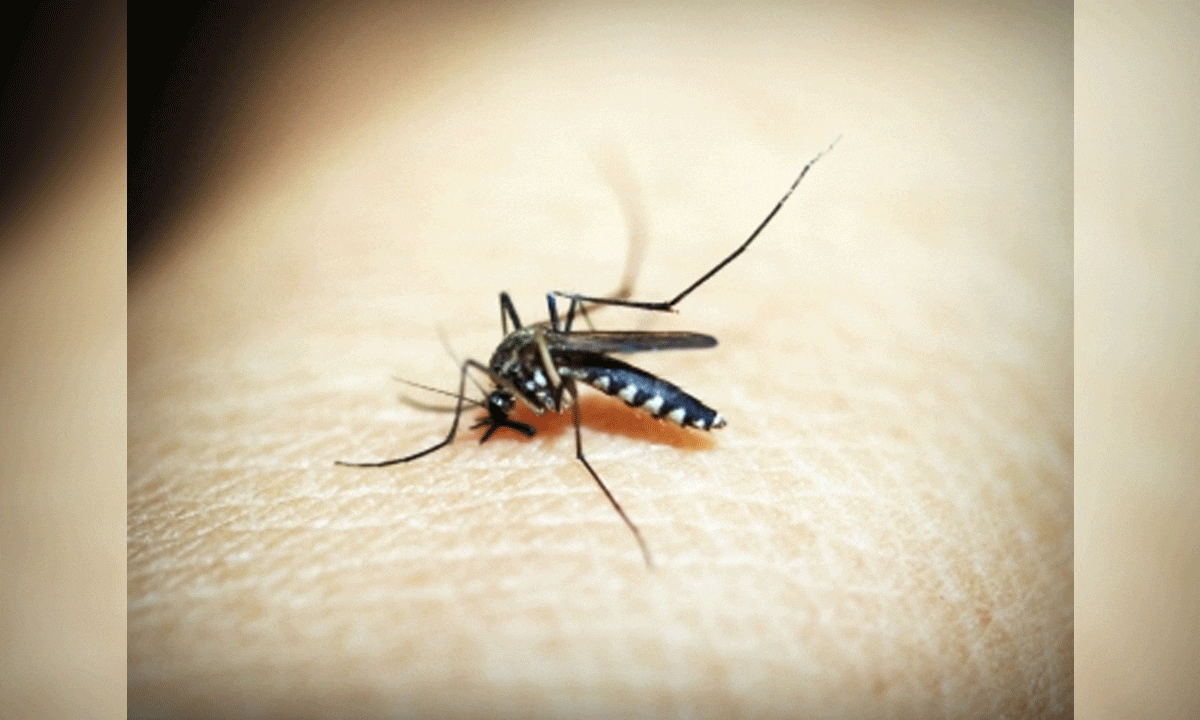 Ivermectin can lower new malaria infection in children by 26pc: Study