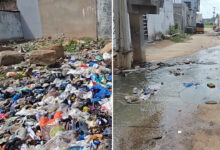 Hyderabad: Dengue Threat Looms Over Jalpally as Monsoon Sets In: Overflowing Garbage and Stagnant Water Raise Alarm
