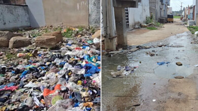 Hyderabad: Dengue Threat Looms Over Jalpally as Monsoon Sets In: Overflowing Garbage and Stagnant Water Raise Alarm