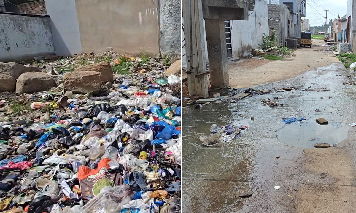 Hyderabad: Dengue Threat Looms Over Jalpally as Monsoon Sets In: Overflowing Garbage and Stagnant Water Raise Alarm