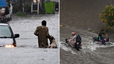 Pakistan Monsoon: 10 More Killed in Heavy Rains, Death Toll Crosses 200