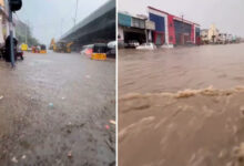 Heavy Rains in Hyderabad: GHMC Issues Alert as Knee-Deep Water Floods Several Localities