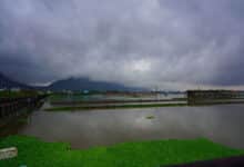 Telangana Weather Update: Several Districts to Receive Heavy to Very Heavy Rains in Next 48 Hours, Check Full List