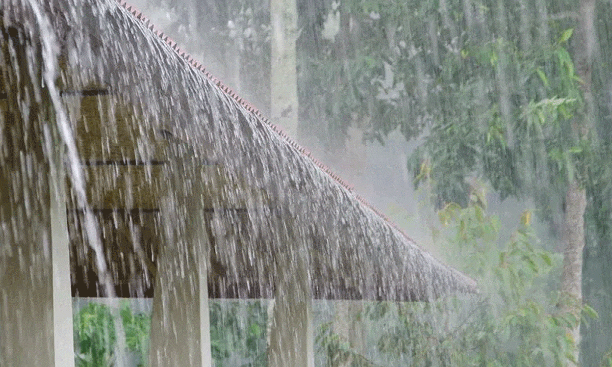 Heavy rain likely in North Coastal Andhra Pradesh & Yanam in next 48 hours: Met