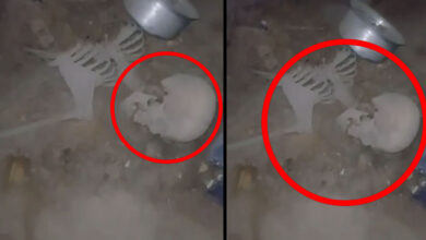 Nampally House Horror: Skeletal Remains Believed to Be of Missing Man, No Complaint Filed by Family