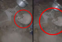 Hyderabad Shocker: Human Skeleton Found in Nampally Locked House Near Murgi Market