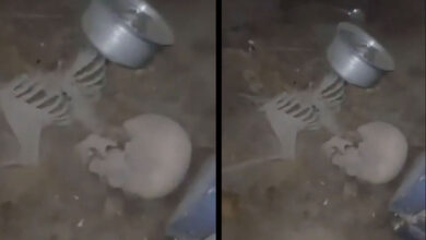 Nampally Human Skeleton Mystery Solved: Nokia Phone with 84 Missed Calls Unravels Identity
