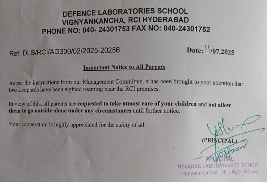 Two Leopards Spotted Inside High Security RCI Campus in Balapur Hyderabad on Alert: Two Leopards Spotted Inside High-Security RCI Campus in Balapur
