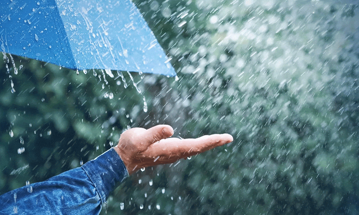 Telangana Rains: Heavy Showers Forecast for Next 4 Days, IMD Issues Yellow Alert Across State