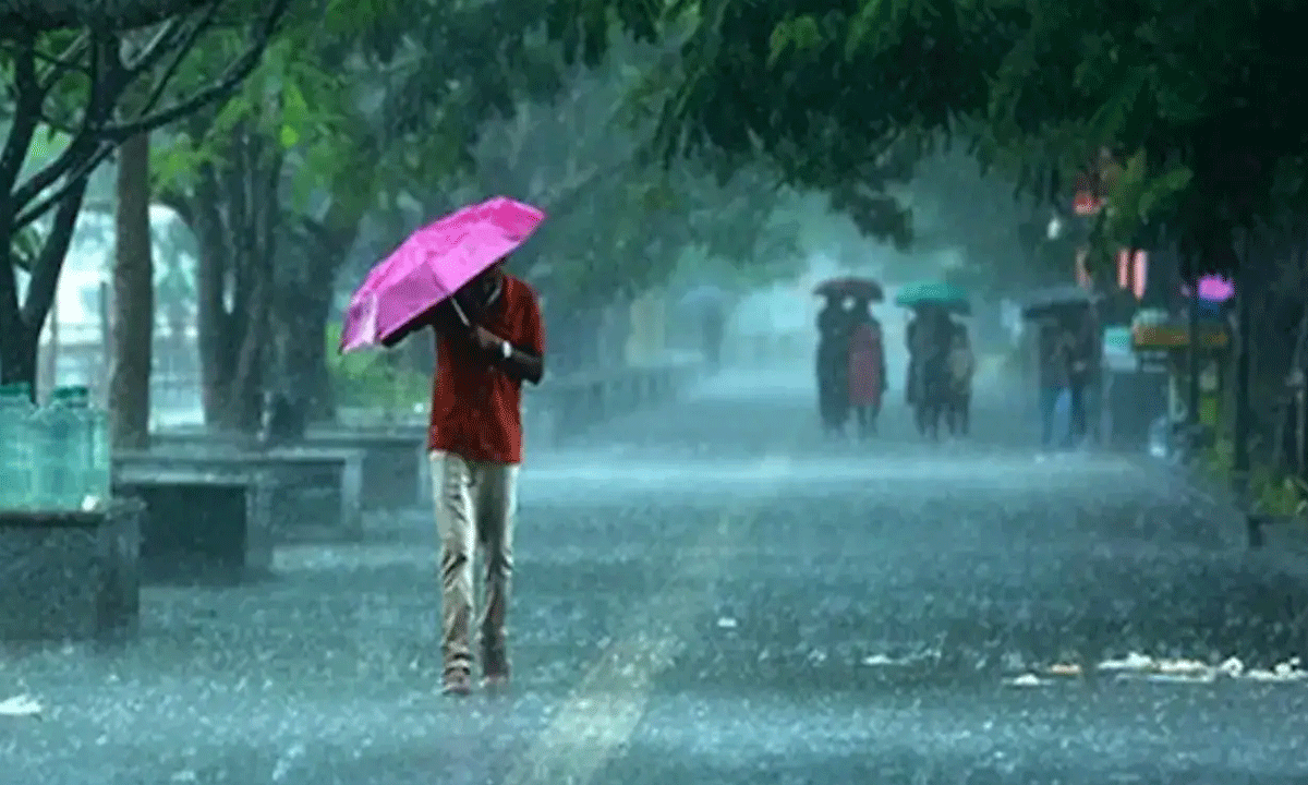 Heavy Rains to Lash Telangana for Next Three Days: IMD Issues Alerts