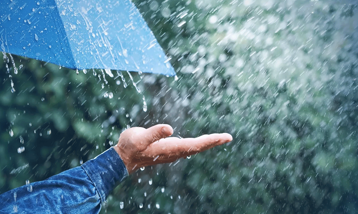Telangana Weather Alert: Light to Moderate Rains Likely in the Next Two Days