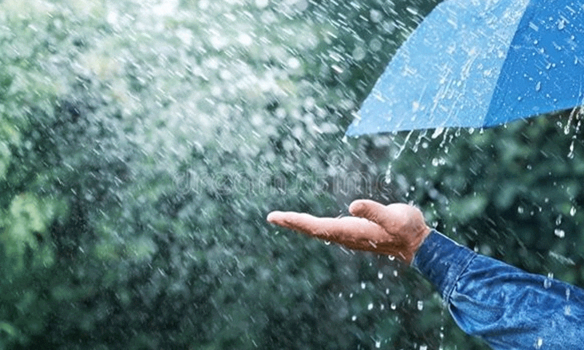 Telangana Rains: Heavy Showers Forecast for Next 4 Days, IMD Issues Yellow Alert Across State