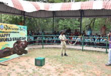 Hyderabad Zoo Marks World Snake Day with Live Demonstrations and Awareness Programs