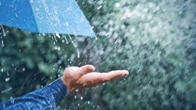 Rain expected in Andhra Pradesh and Telangana, with heavy rain likely in Eluru.
