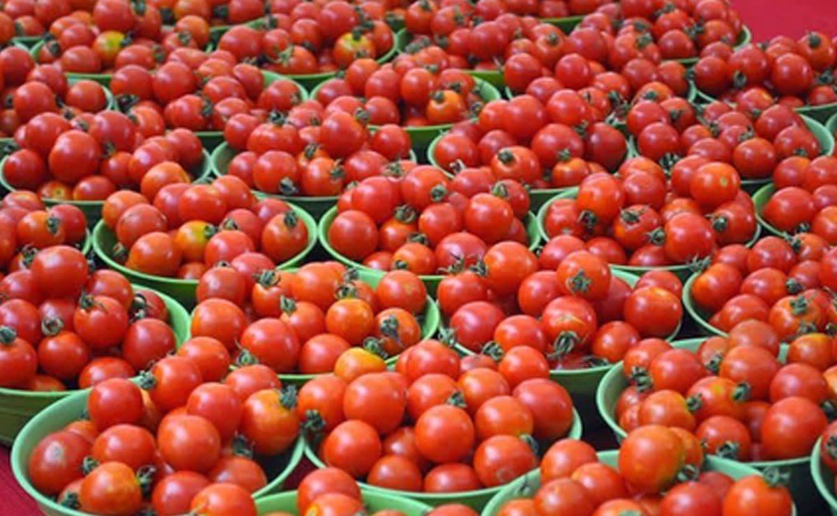 Tomato prices double across TN as rain hits supply