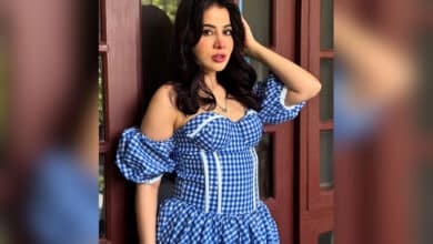 Uorfi Javed shuts down trolls, reveals her face without lip fillers or swelling
