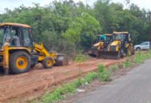 Hyderabad: Plants Uprooted in the Name of Plantation Drive at Rajendranagar University College