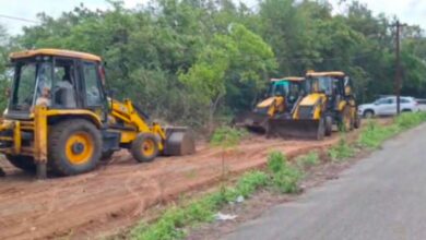Hyderabad: Plants Uprooted in the Name of Plantation Drive at Rajendranagar University College