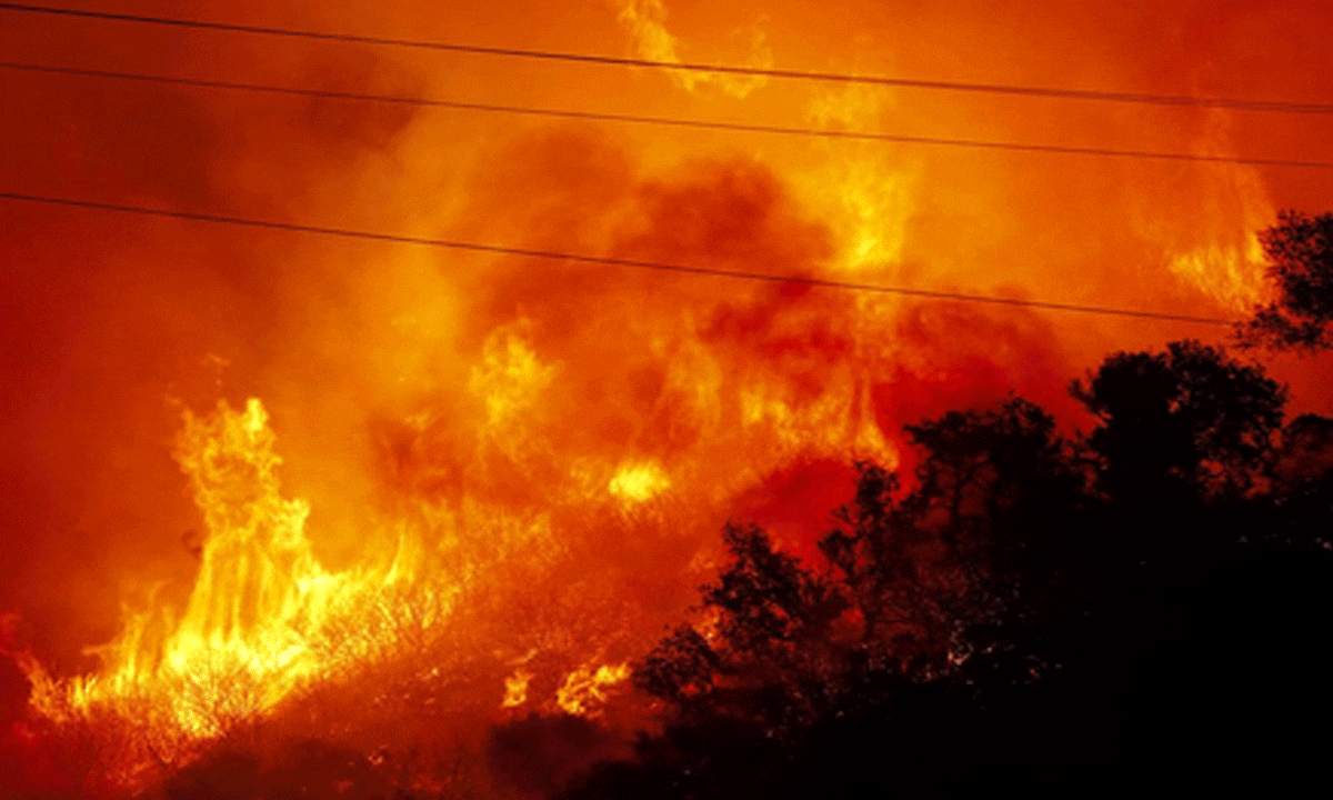 Wildfire continues to rage across US Grand Canyon National Park