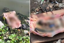 Hyderabad Horror: Newborn Baby’s Body Found Near Mir Alam Tank — Has Humanity Died, or Are We No Longer Human?