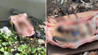 Hyderabad Horror: Newborn Baby’s Body Found Near Mir Alam Tank — Has Humanity Died, or Are We No Longer Human?